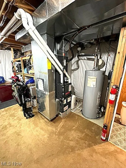 Unfinished basement featuring gas water heater and carpet flooring