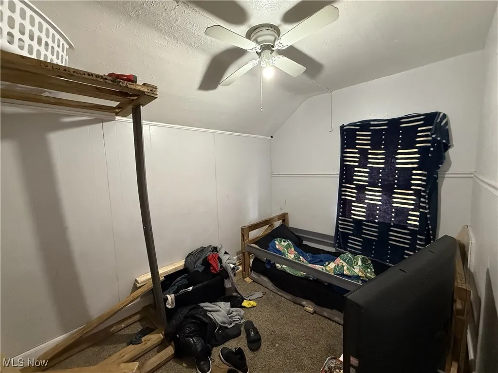 Additional living space with ceiling fan, vaulted ceiling, and carpet floors