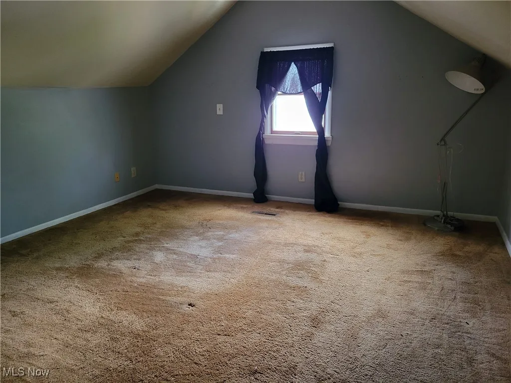 Additional living space with lofted ceiling, carpet floors, and baseboards