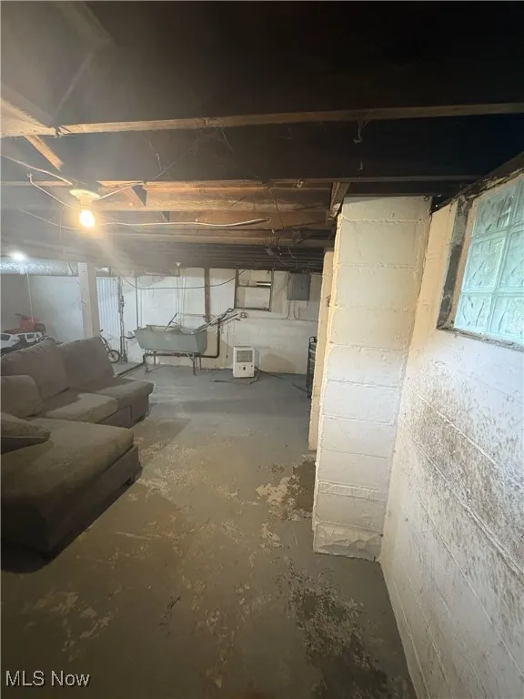 Unfinished below grade area with electric panel