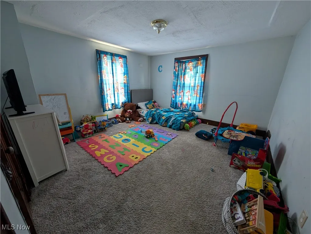 Playroom featuring carpet and a textured ceiling