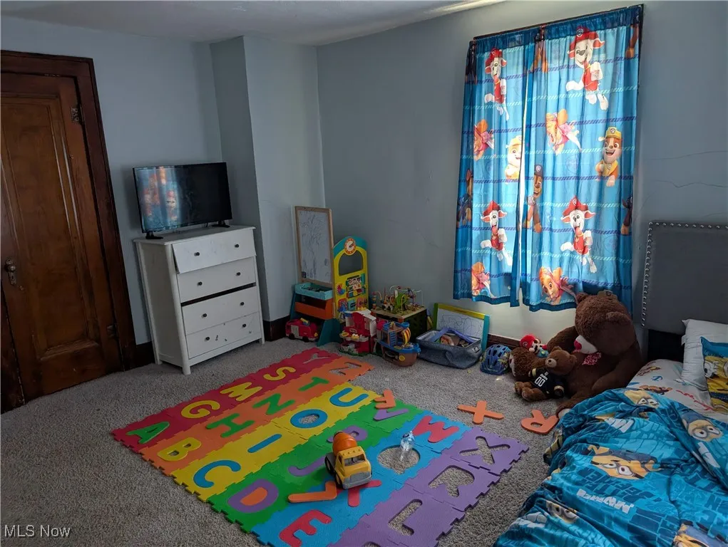 Playroom with carpet floors