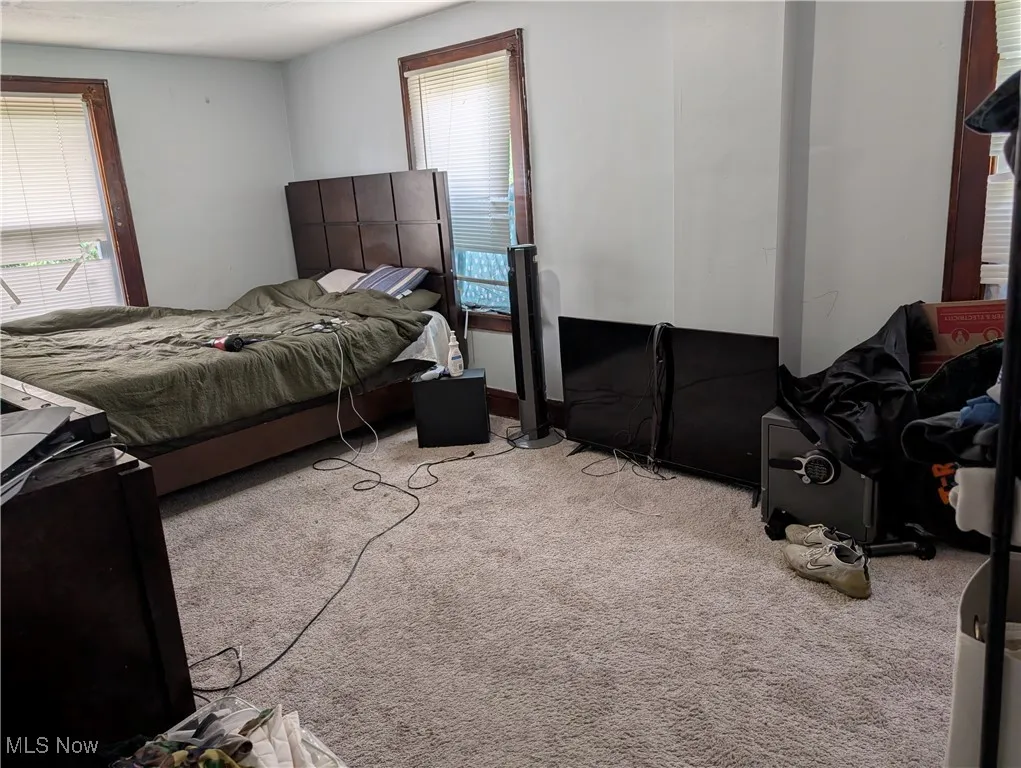 Carpeted bedroom with multiple windows
