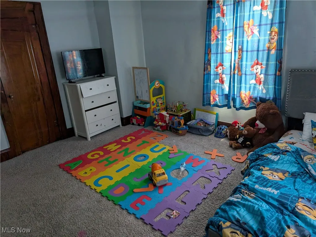 Recreation room with carpet