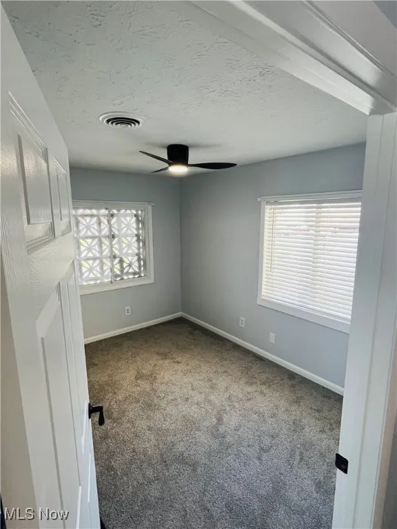 Spare room with healthy amount of natural light, carpet flooring, a ceiling fan, baseboards, and a textured ceiling