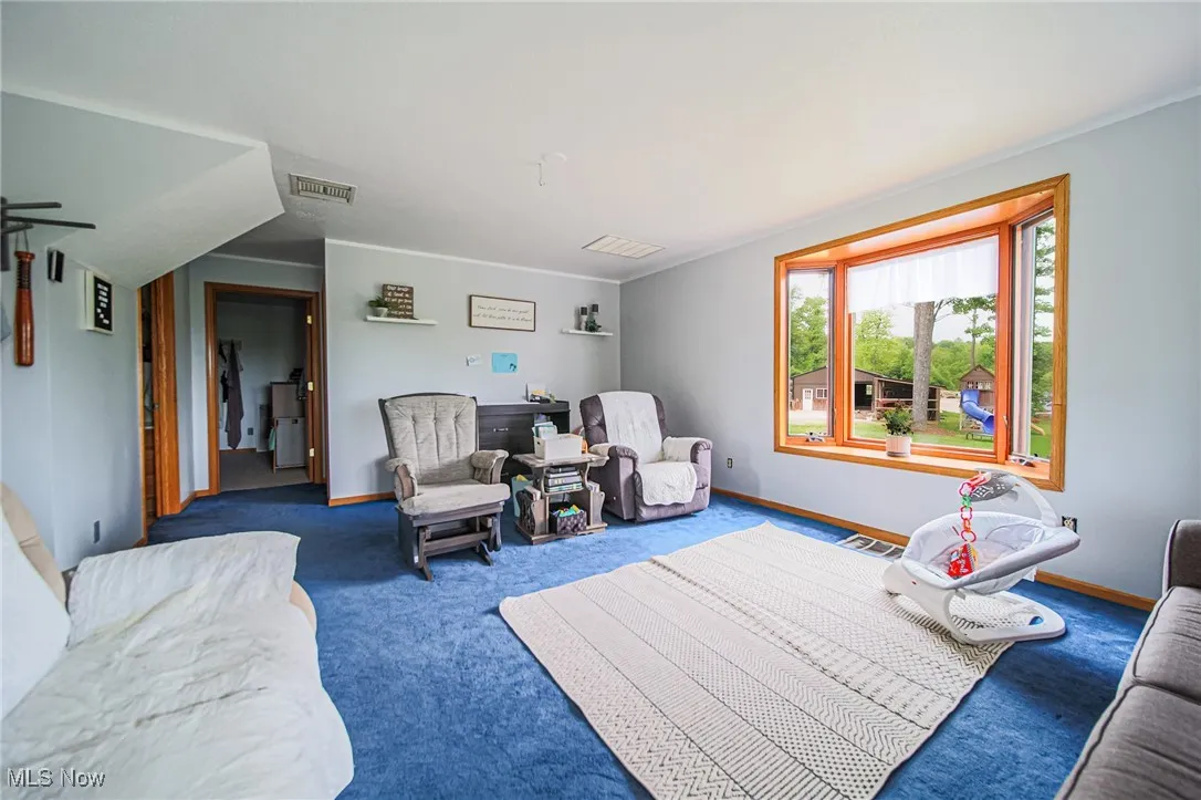 Carpeted living room featuring baseboards