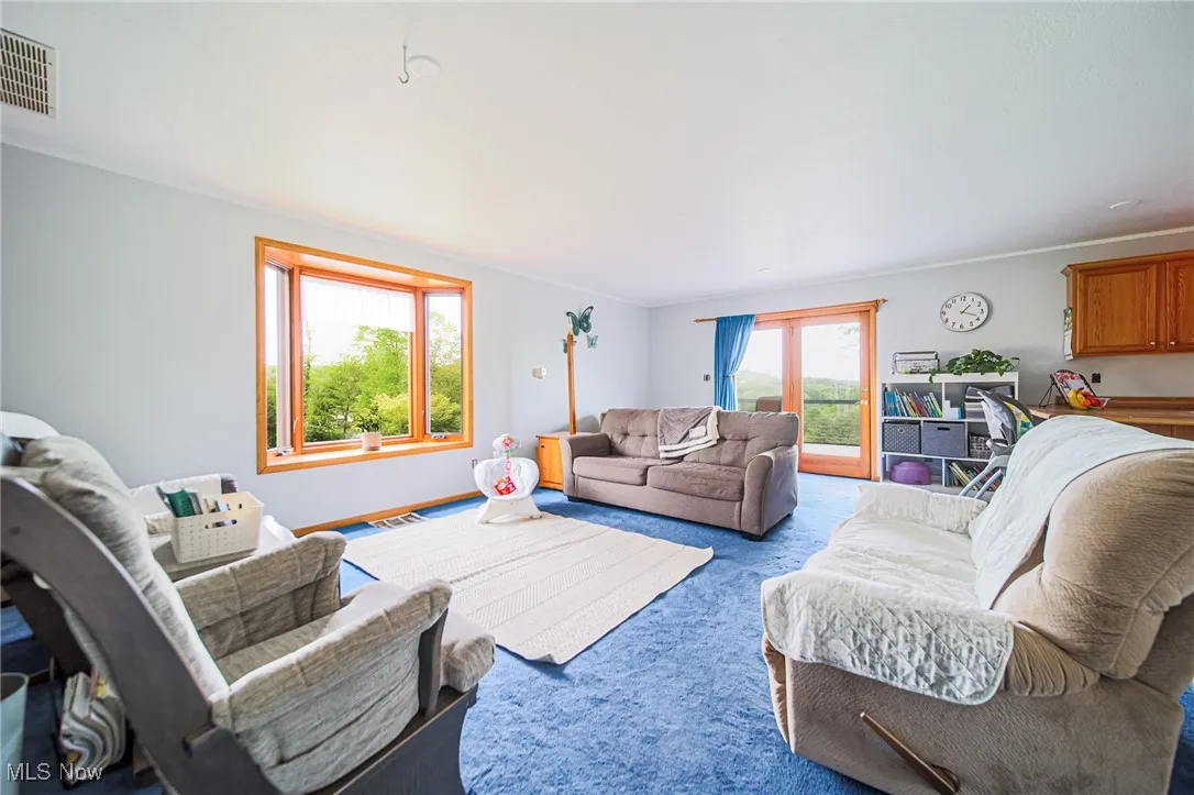 Living room featuring carpet