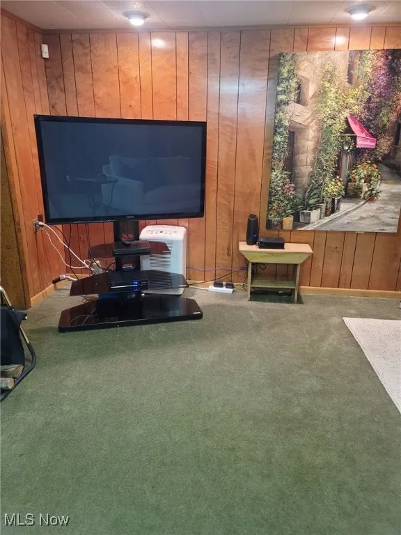 Living area with wood walls and carpet floors