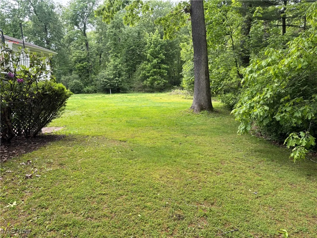 View of green lawn