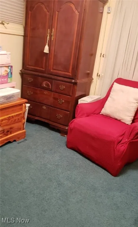 Living area with dark carpet