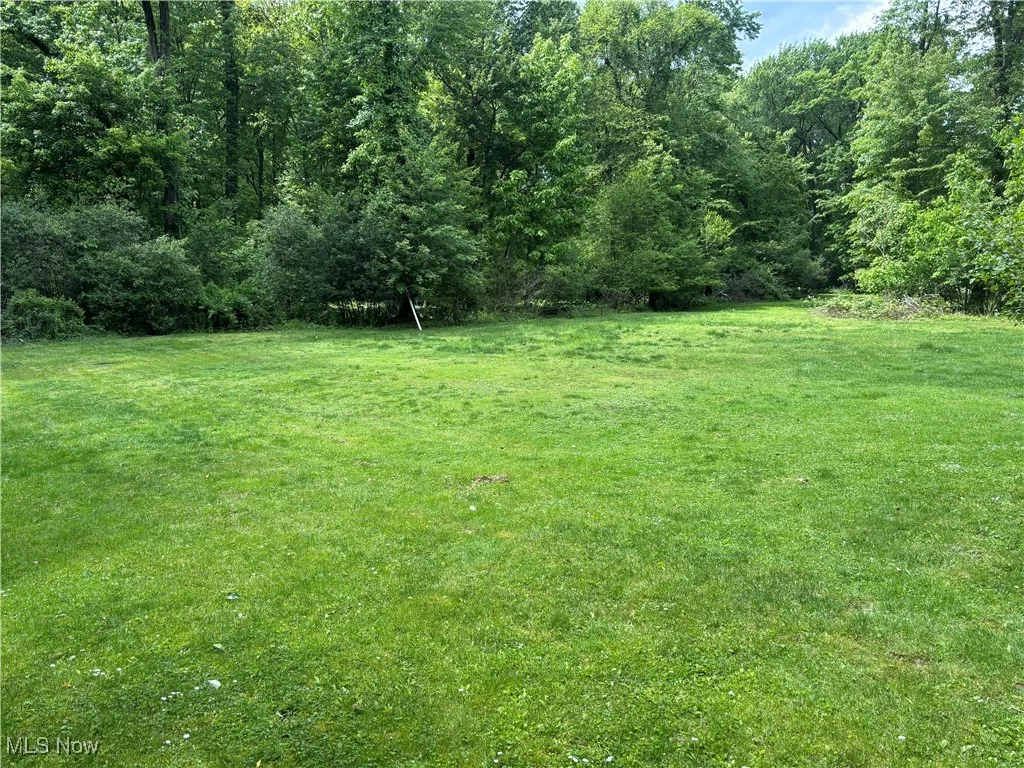 View of green lawn with a forest view