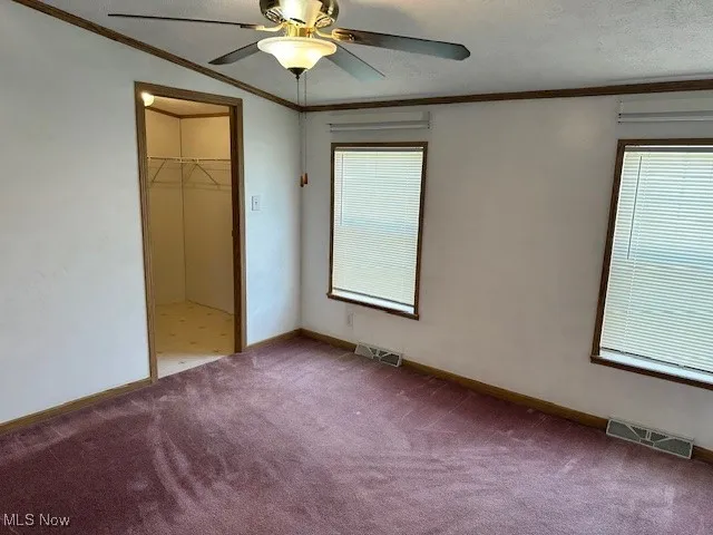 Master bedroom with carpet flooring, ornamental molding, a spacious closet, and baseboards