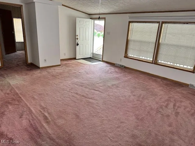 Carpeted family room featuring baseboards, crown molding, and a textured ceiling