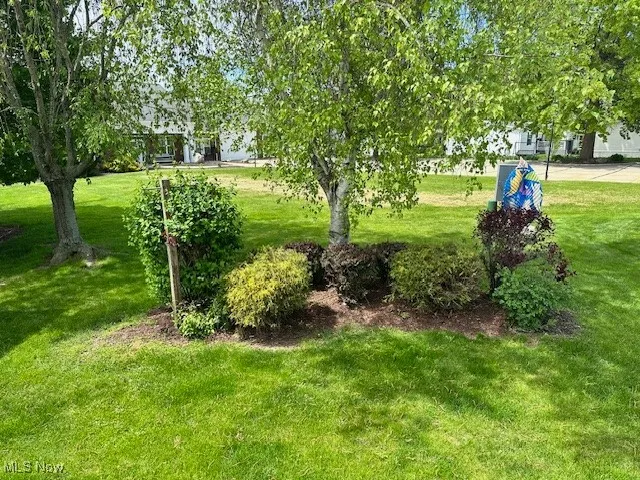 View of backyard from the deck
