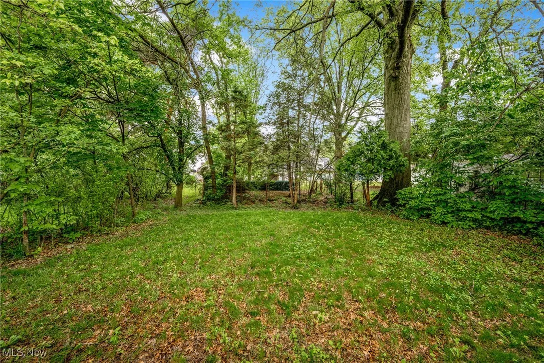 View of grassy yard