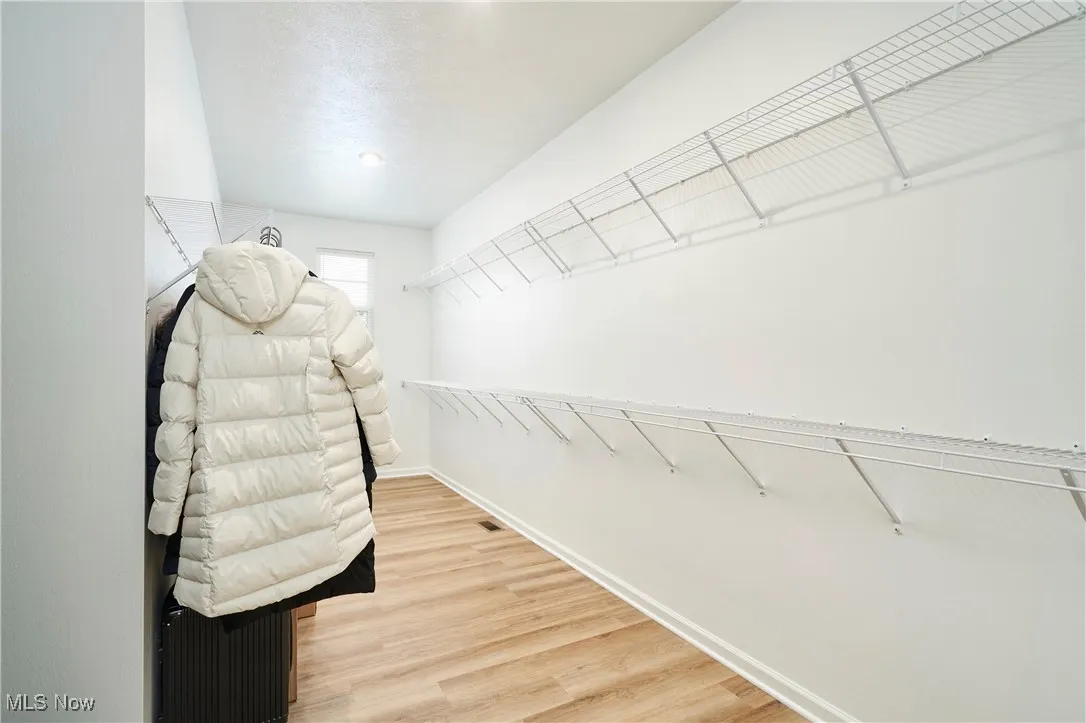 Spacious closet with light wood-style flooring