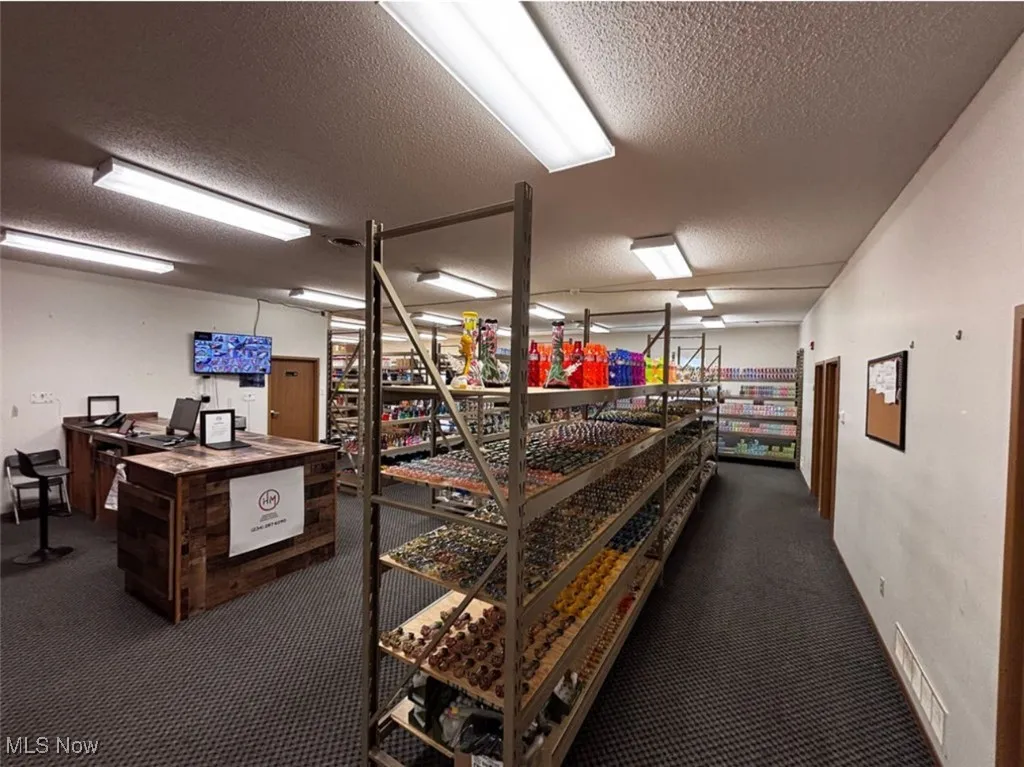 493 Bev # #4, Boardman, Ohio,MLS Now Listing ID