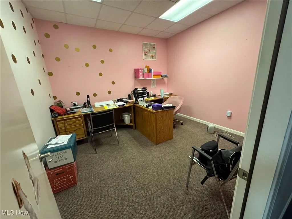office with a paneled ceiling and carpet flooring