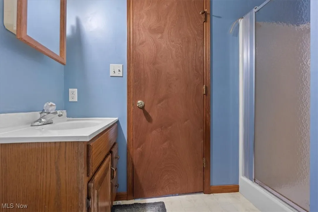 Lower level bathroom