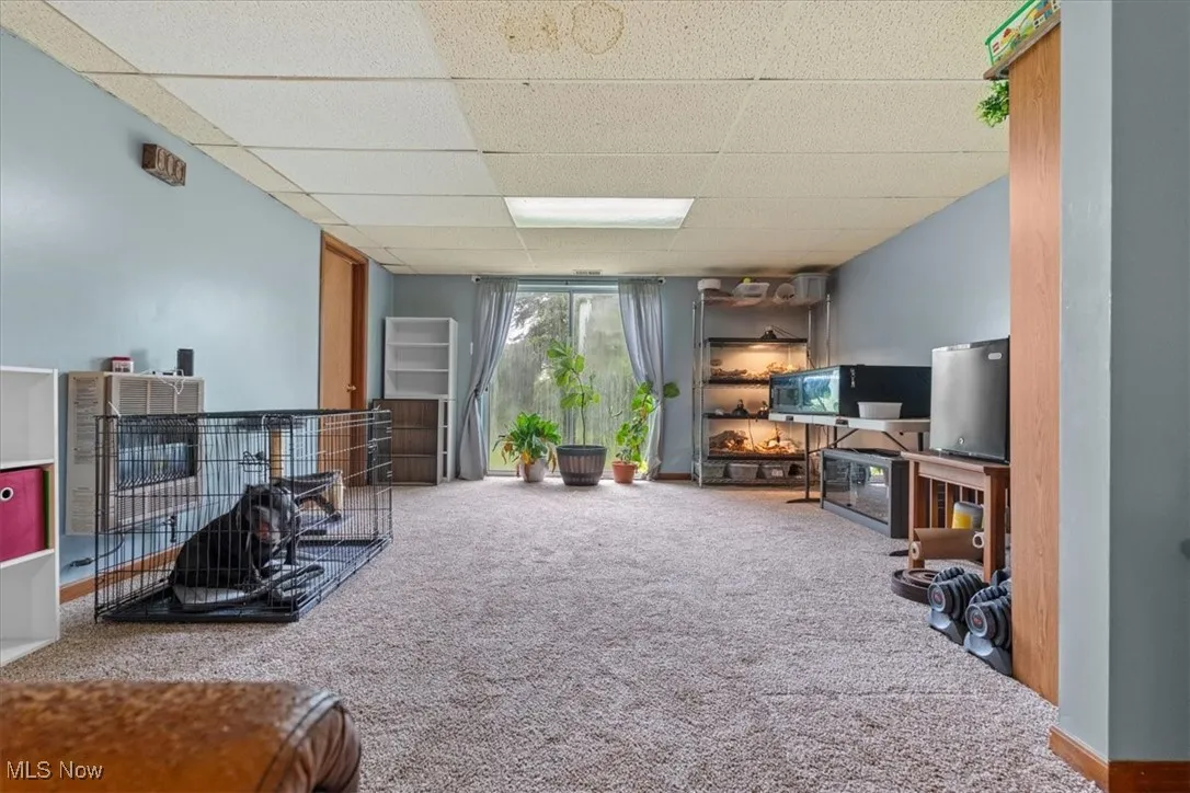 More views of the large lower level family room