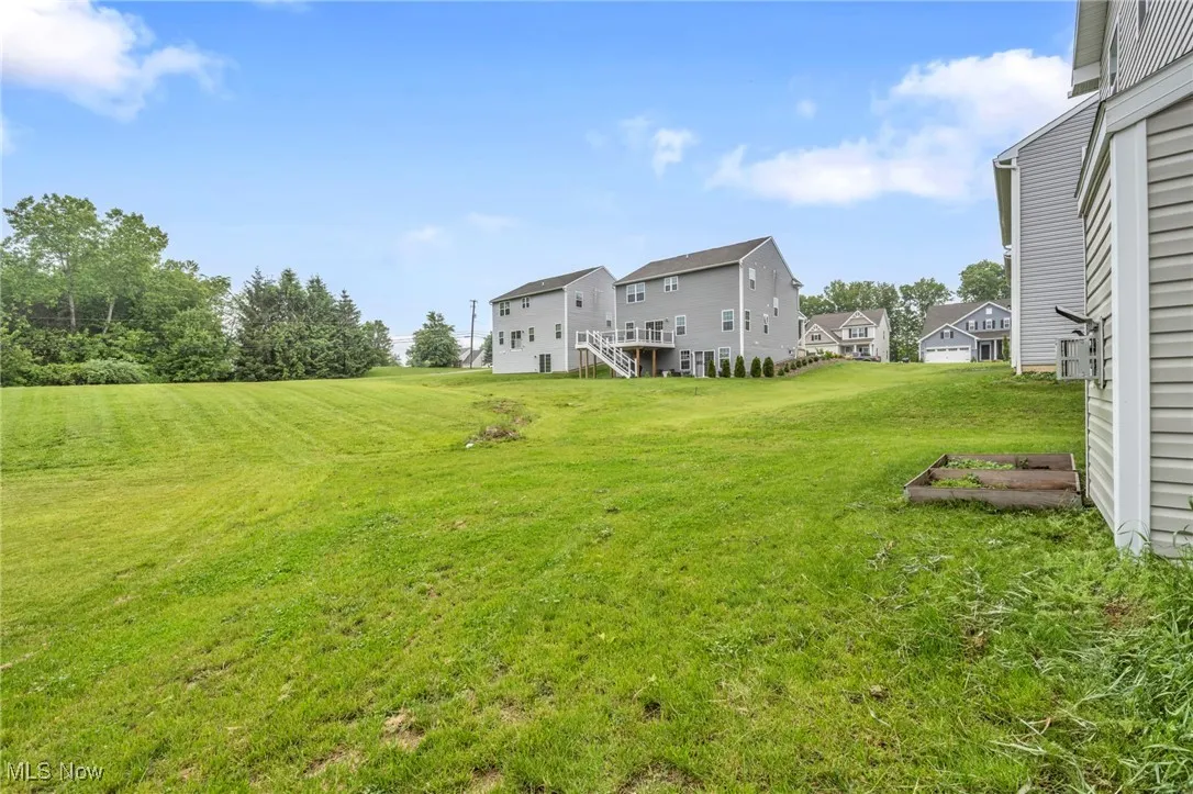 View of grassy yard