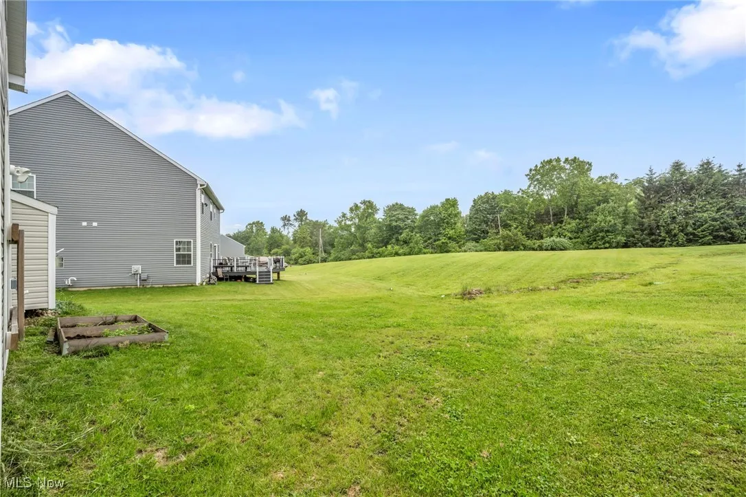 View of grassy yard