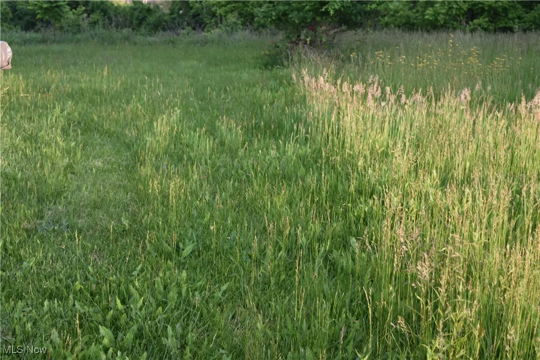 52710 Summit Avenue, St. Clairsville, Ohio,MLS Now Listing ID