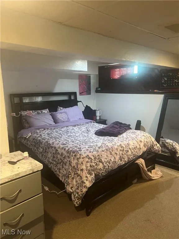 Bedroom with carpet flooring