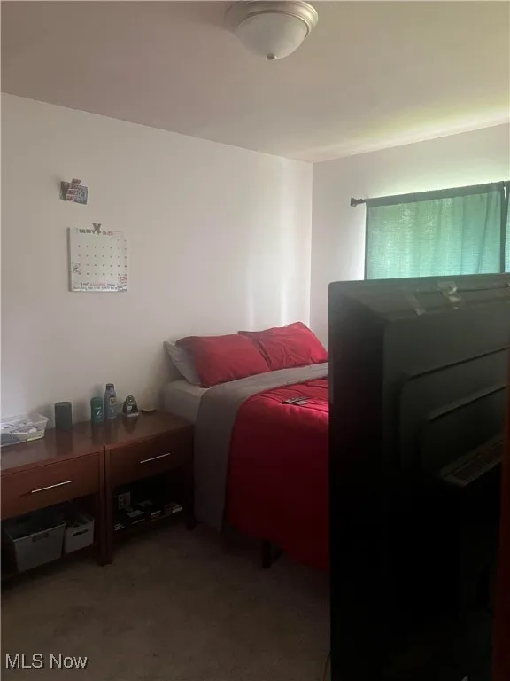 Bedroom with light carpet
