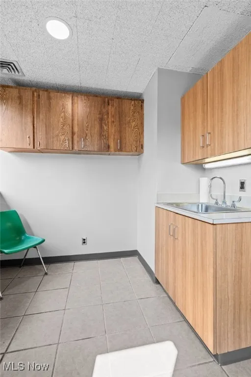 Kitchenette area with sink and storage cabinets