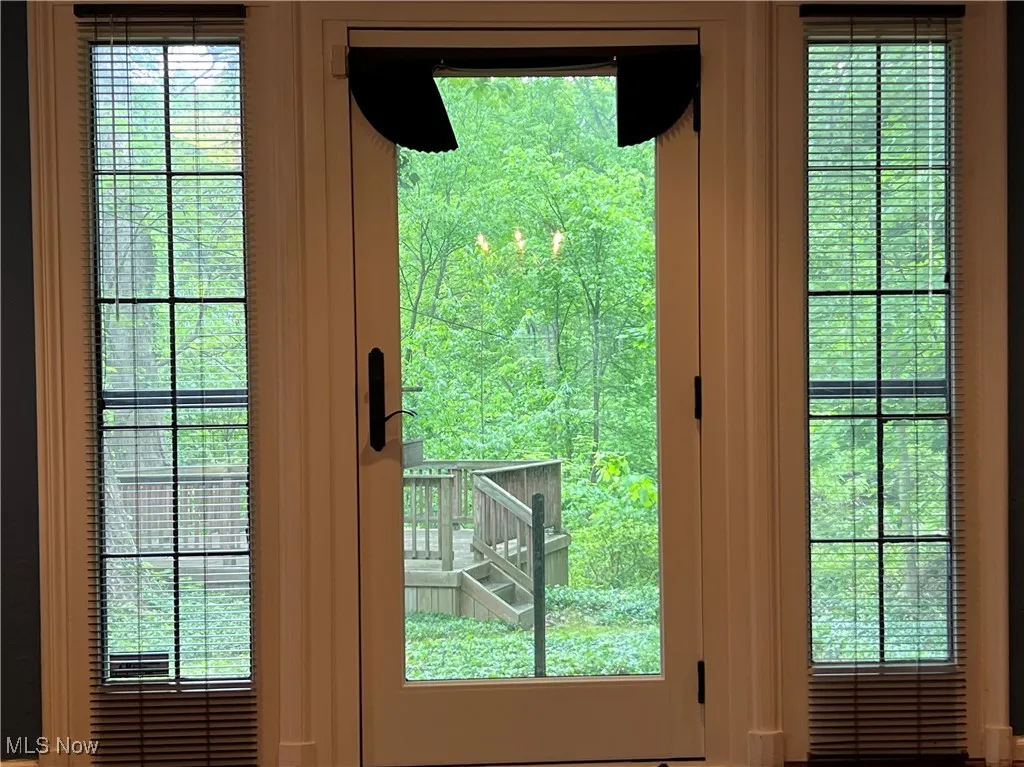View from sunroom