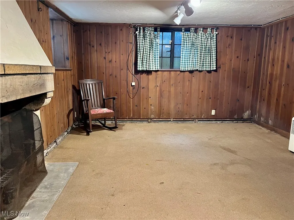 lower level family room