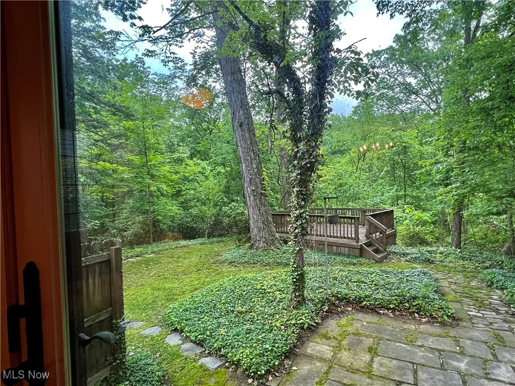 View from Sunroom