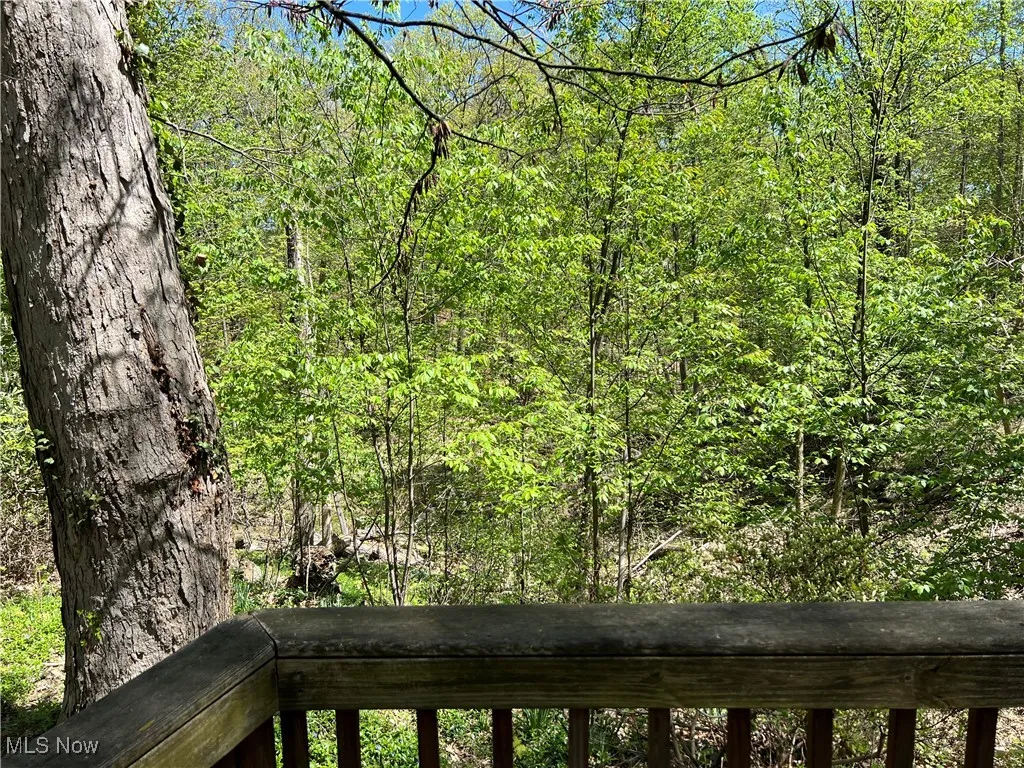 View of deep ravined back yard from deck