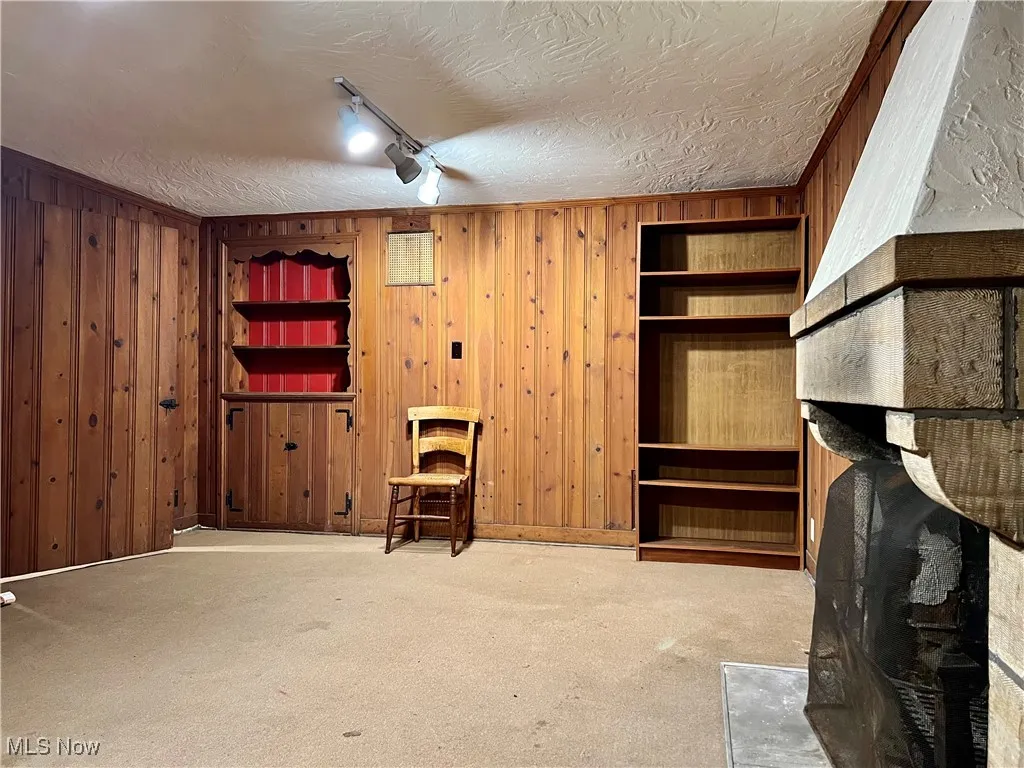 lower level family room