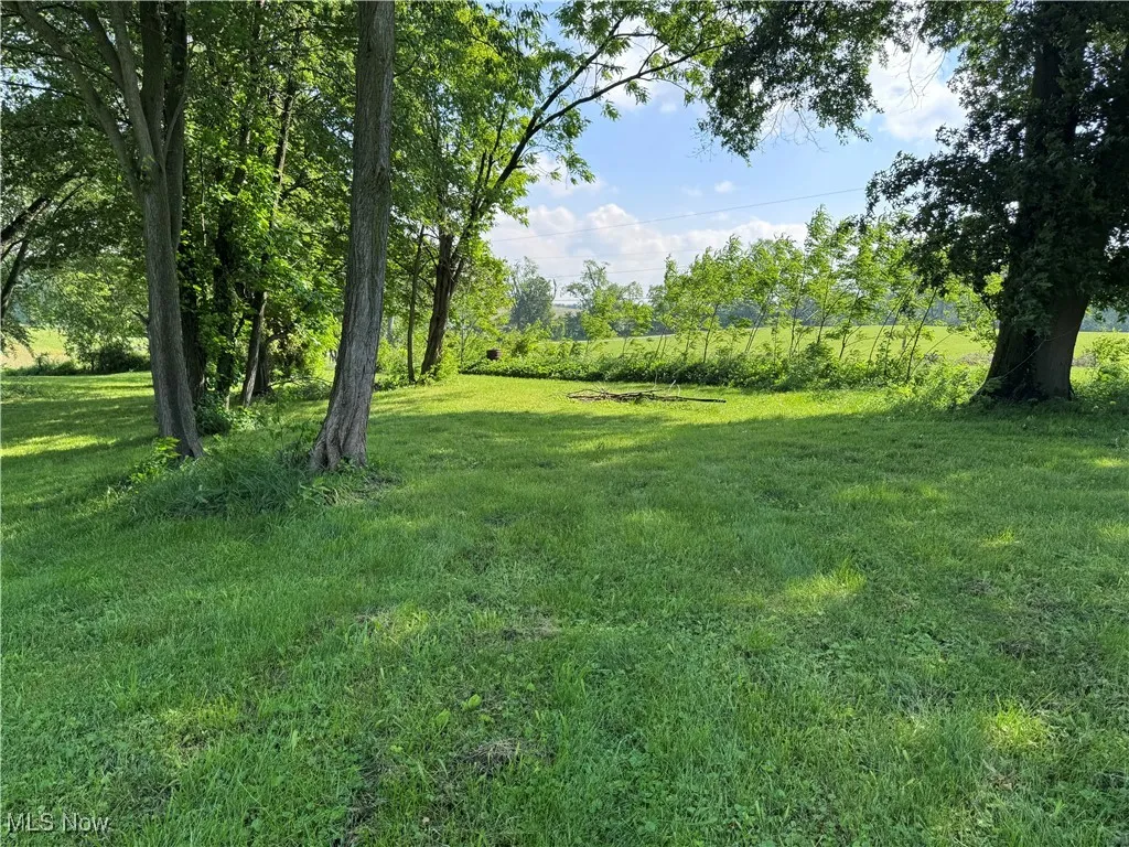 View of green lawn