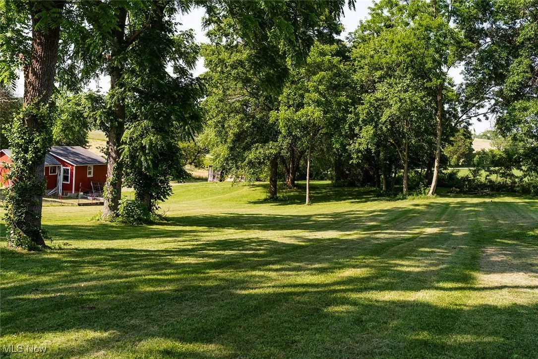 View of green lawn