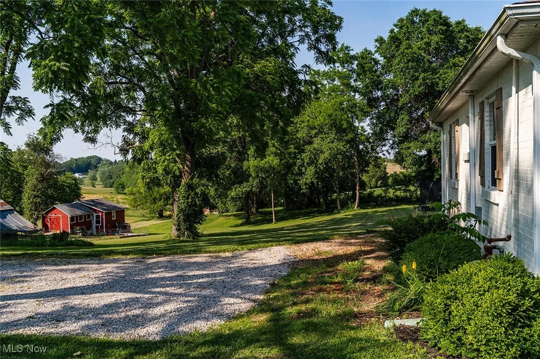 View of grassy yard featuring view of scattered trees