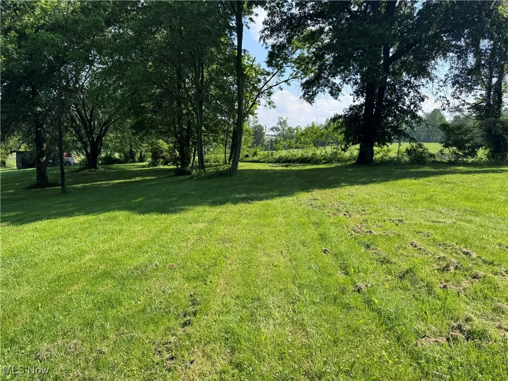 View of green lawn