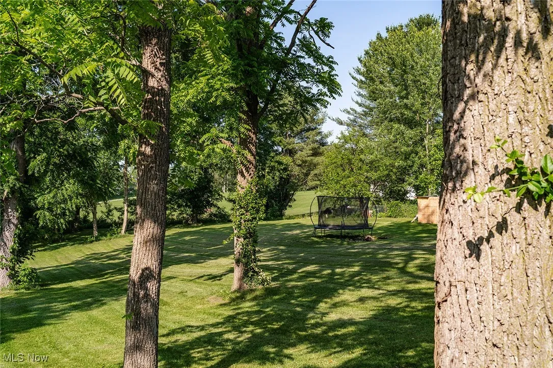 View of green lawn with a trampoline