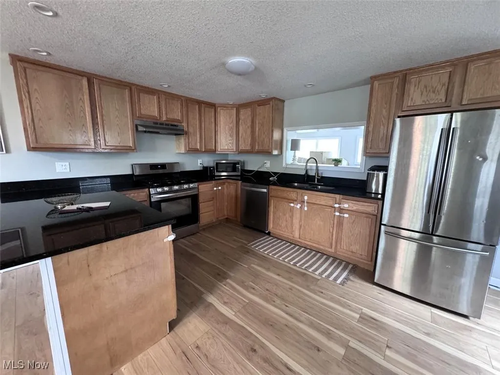 Kitchen featuring stainless steel appliances, a sink, under cabinet range hood, light wood finished floors, and dark countertops