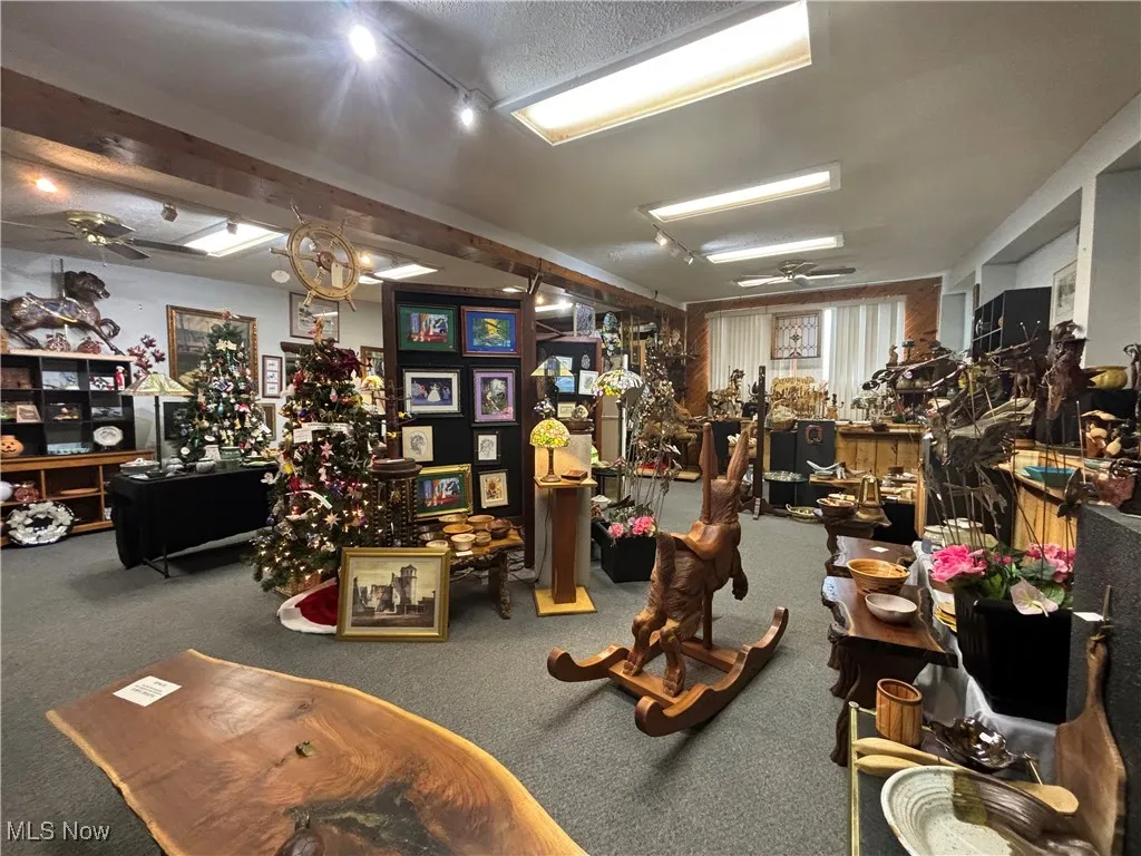 12157 State Route 88, Garrettsville, Ohio,MLS Now Listing ID