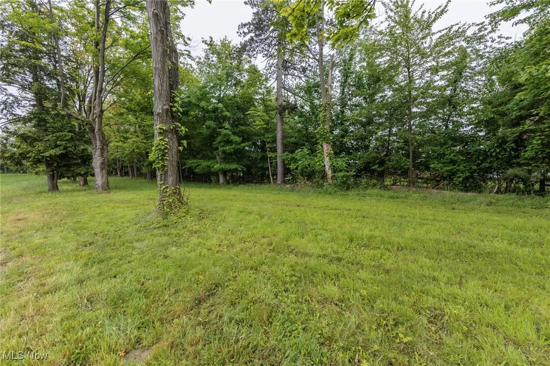 back yard of home
