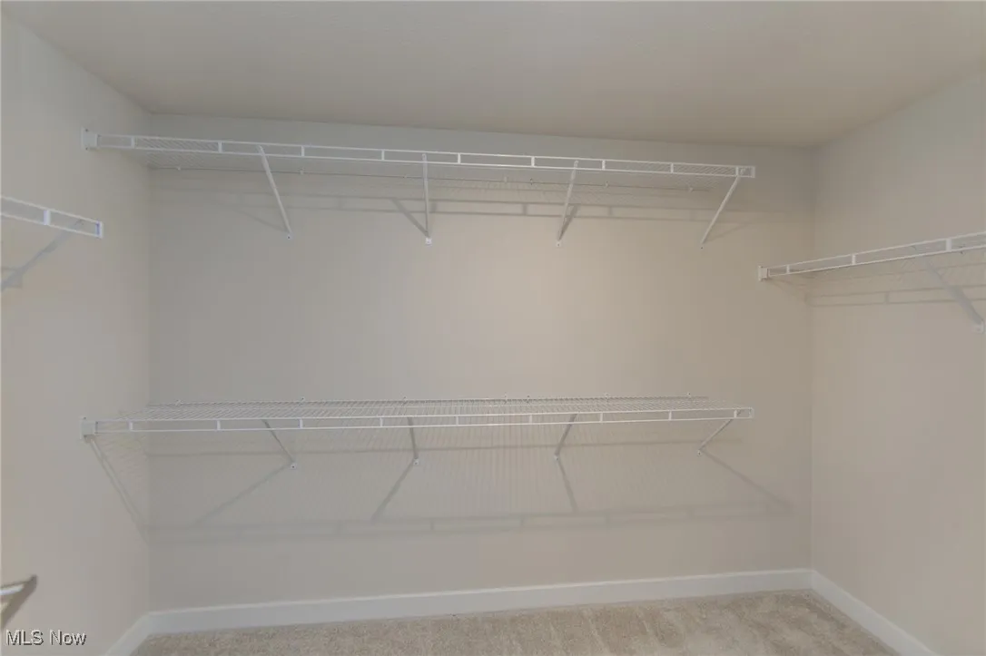 Spacious closet with carpet