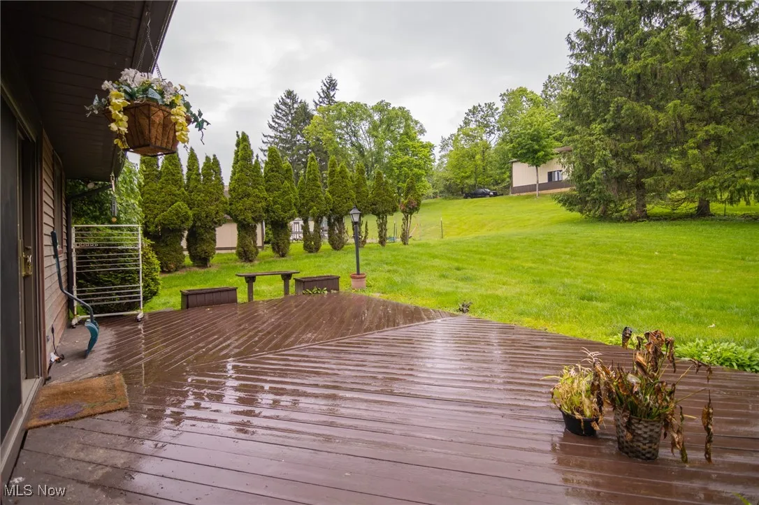Wooden deck featuring a lawn and view of scattered trees