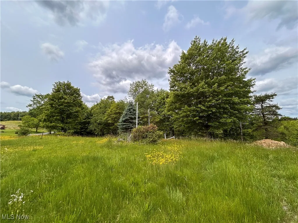 49722 Carmel Achor Road, Rogers, Ohio,MLS Now Listing ID