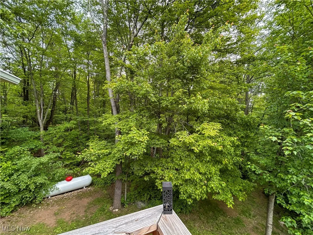 View from deck off kitchen