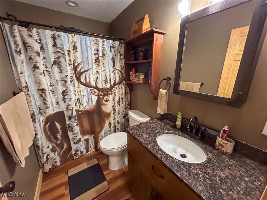 49722 Carmel Achor Road, Rogers, Ohio,MLS Now Listing ID