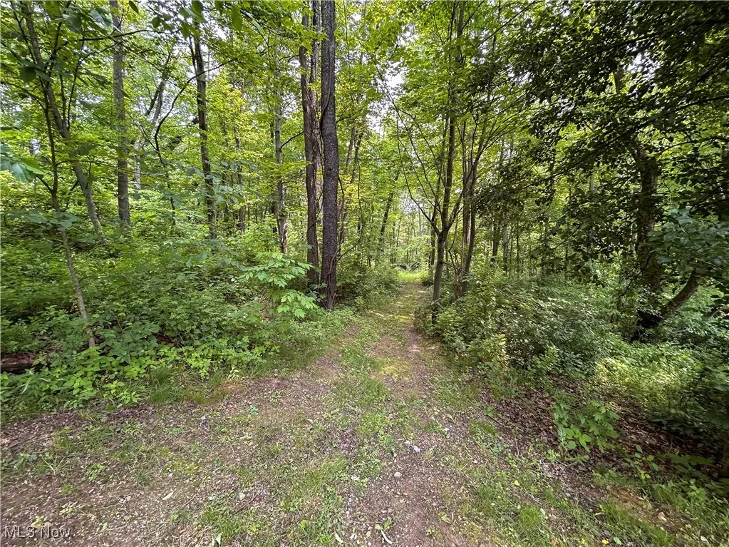 49722 Carmel Achor Road, Rogers, Ohio,MLS Now Listing ID