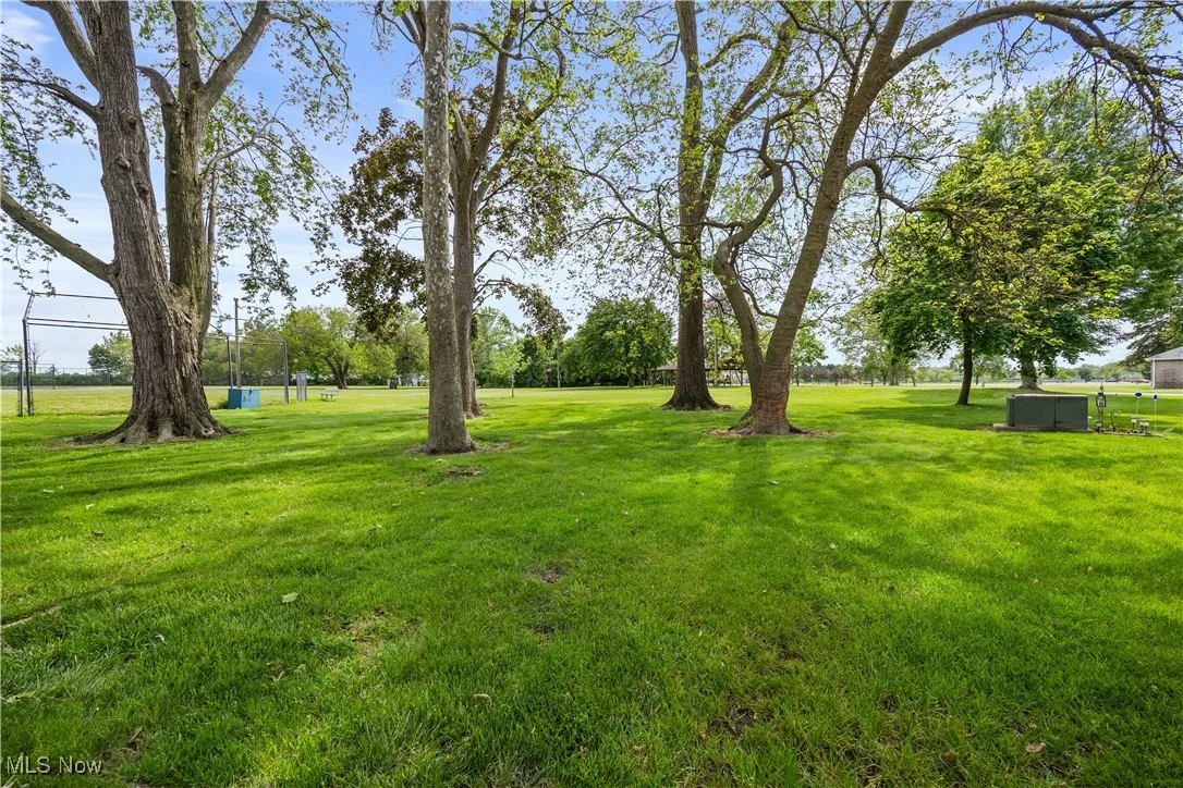 Back yard view